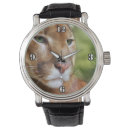 Search for puma accessories Animal