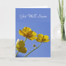 Search for buttercup cards Flower