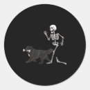 Search for newfoundlands stickers Retro