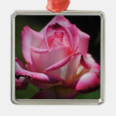 Search for flora ornaments Fashion