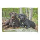 Search for labrador retriever pillowcases Puppy