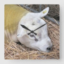 Search for ewe art Cute