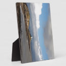 Recherche de baleine plaques Mer