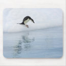 Search for gentoo penguin mousepads Penguins