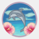 Search for dolphin stickers Summer