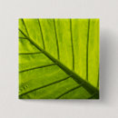 Recherche de feuillage vert badges Plante