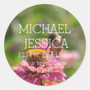 Recherche de hummingbird autocollants Oiseaux