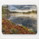 Search for jone mousepads Michigan