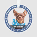 Search for pup ornaments Cute