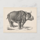 Recherche de rhinoceros cartes postales Rhinocéros