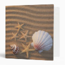 Search for sea shell binders Seashore