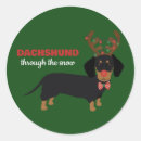 Search for doxie stickers Badger dog