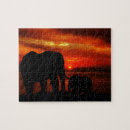 Search for elephant puzzles Sunset