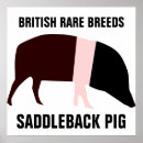 Search for piggy posters Piggies