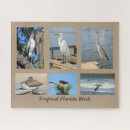 Recherche de oiseaux tropicaux puzzles Pour tous