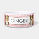 Recherche de sheltie gifts Dog