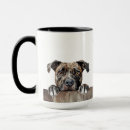 Search for english bull mugs Dog