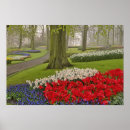 Recherche de keukenhof holland posters Néerlandais