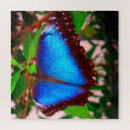Recherche de morpho puzzles Vert