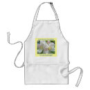 Search for the company aprons Cook