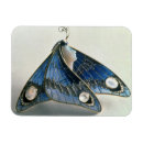 Search for enamel magnets Jewellery