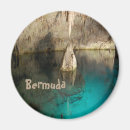 Search for crystal magnets Travel