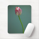 Search for tulip bulbs electronics Garden