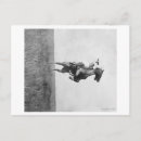 Search for bronco postcards Photograph
