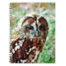 Recherche de hiboux mignons carnets Oiseaux