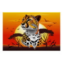 Recherche de guépard posters Animaux sauvages
