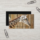 Recherche de de girafe photographie Animaux