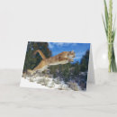 Recherche de cougar vœux cartes Lion de montagne