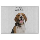 Recherche de beagles mignons Animaux