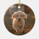 Search for puppy ornaments Simple