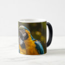 Search for parrot mugs Colourful