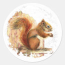 Search for red squirrel stickers Nature
