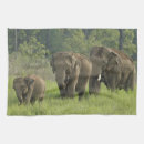 Search for environment tea towels Habitat