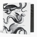 Search for type binders 19th