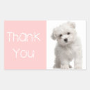 Search for maltese dog stickers Pink