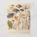 Recherche de naturalist cartes postales Nature