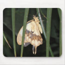 Search for moth mousepads Animals