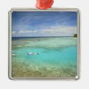 Search for resort ornaments Palm tree