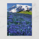 Search for mt rainier postcards Volcano