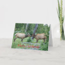 Recherche de yellowstone vœux cartes Wapiti