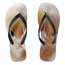 Search for chicken sandals Bird