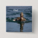 Search for swimming buttons Waterfowl