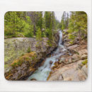 Search for freds mousepads Forest
