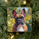 Recherche de bouledogue francais ornements Chien