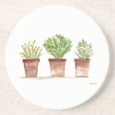 Recherche de romarin dessous de verres Herbes