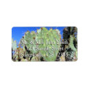Search for pear photography Cacti